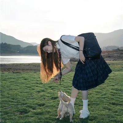 双世美姬